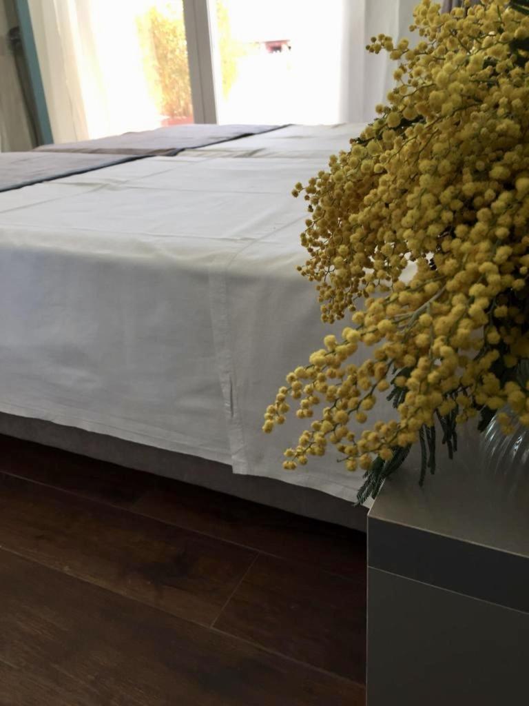 Amberyellowbnb Shkodër Екстериор снимка